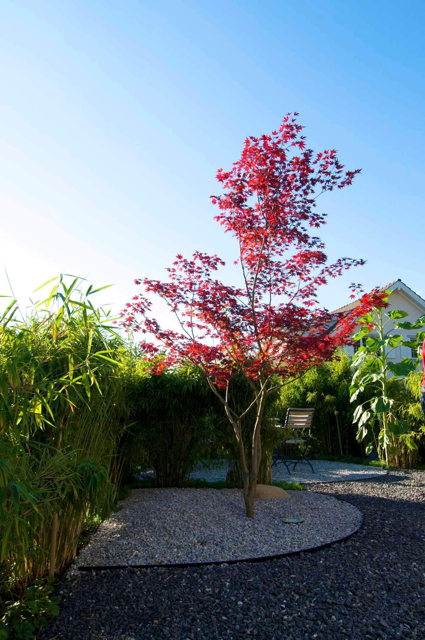 Villiger Gartenimpressionen